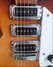 Rickenbacker 340/6 VP, MonteBrown: Free image