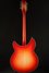 Rickenbacker 360/12 C63, Fireglo: Full Instrument - Rear