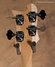 Rickenbacker 4003/4 , Mapleglo: Headstock - Rear