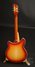 Rickenbacker 360/6 , Fireglo: Full Instrument - Rear