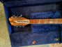 Rickenbacker 370/12 RM, Mapleglo: Neck - Front