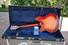 Rickenbacker 360/6 V64, Fireglo: Full Instrument - Rear