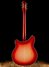 Rickenbacker 360/6 , Fireglo: Full Instrument - Rear