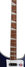 Rickenbacker 4003/4 , Midnightblue: Neck - Front