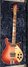 Rickenbacker 660/6 , Fireglo: Full Instrument - Front