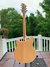 Rickenbacker 360/6 , Mapleglo: Full Instrument - Rear