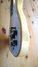 Rickenbacker 450/12 , Natural: Free image2