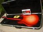 Rickenbacker 330/6 , Fireglo: Full Instrument - Rear