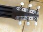 Rickenbacker Academy/6 LapSteel, Brown: Headstock - Rear