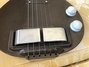 Rickenbacker Academy/6 LapSteel, Brown: Body - Front