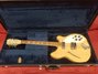 Rickenbacker 360/12 , Mapleglo: Free image2