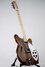 Rickenbacker 360/6 , Natural Walnut: Free image