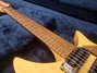 Rickenbacker 325/6 V59, Mapleglo: Neck - Front
