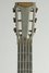 Rickenbacker A22/6 LapSteel, Gold: Headstock