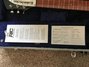 Rickenbacker 325/6 JL, Jetglo: Neck - Front