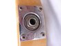 Rickenbacker 4001/4 V63, Mapleglo: Close up - Free