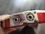 Rickenbacker 4003/4 , Ruby: Close up - Free