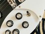 Rickenbacker 320/6 f hole, Jetglo: Free image