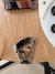Rickenbacker 360/6 , Mapleglo: Close up - Free2