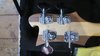 Rickenbacker 4003/4 , Natural Walnut: Headstock - Rear