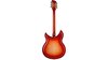 Rickenbacker 381/12 V69, Fireglo: Full Instrument - Rear