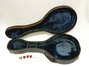 Rickenbacker Mandolin (hollow body)/8 VB, Two tone brown: Free image2
