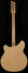Rickenbacker 360/6 , Mapleglo: Full Instrument - Rear