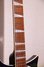Rickenbacker 620/6 , Midnightblue: Neck - Front
