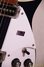 Rickenbacker 620/6 , Midnightblue: Close up - Free2