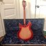 Rickenbacker 360/12 V64, Fireglo: Full Instrument - Rear