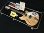 Rickenbacker 360/6 , Mapleglo: Full Instrument - Front