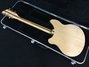 Rickenbacker 360/6 , Mapleglo: Full Instrument - Rear