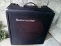 Rickenbacker TR35B/amp , Black: Full Instrument - Front
