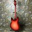Rickenbacker 330/6 , Fireglo: Full Instrument - Rear