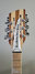 Rickenbacker 360/12 , Natural Walnut: Headstock