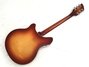Rickenbacker 360/6 , Fireglo: Full Instrument - Rear
