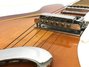 Rickenbacker 360/6 , Fireglo: Close up - Free2