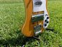Rickenbacker 4001/4 , Mapleglo: Body - Front