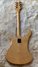 Rickenbacker 480/6 Mod, Mapleglo: Full Instrument - Rear