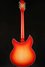 Rickenbacker 1993/12 Plus, Fireglo: Full Instrument - Rear