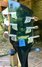 Rickenbacker 360/6 , Jetglo: Headstock - Rear