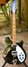 Rickenbacker 360/6 , Jetglo: Full Instrument - Front