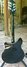Rickenbacker 360/6 , Jetglo: Full Instrument - Rear