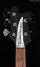 Rickenbacker 4003/5 S, Matte Black: Headstock