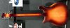 Rickenbacker 660/12 TP, Fireglo: Full Instrument - Rear