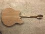 Rickenbacker 360/12 , Mapleglo: Full Instrument - Rear
