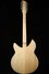 Rickenbacker 1993/12 Plus, Mapleglo: Full Instrument - Rear