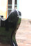 Mar 1976 Rickenbacker 3000/4 , Jetglo: Body - Rear