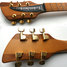 Rickenbacker 650/6 Sierra, Natural Walnut: Headstock