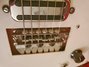 Rickenbacker 425/6 Combo, Two tone brown: Close up - Free